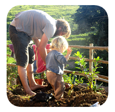 tree planting at Lubanzi