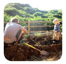 tree planting at Lubanzi Backpackers